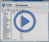 sql database recovery